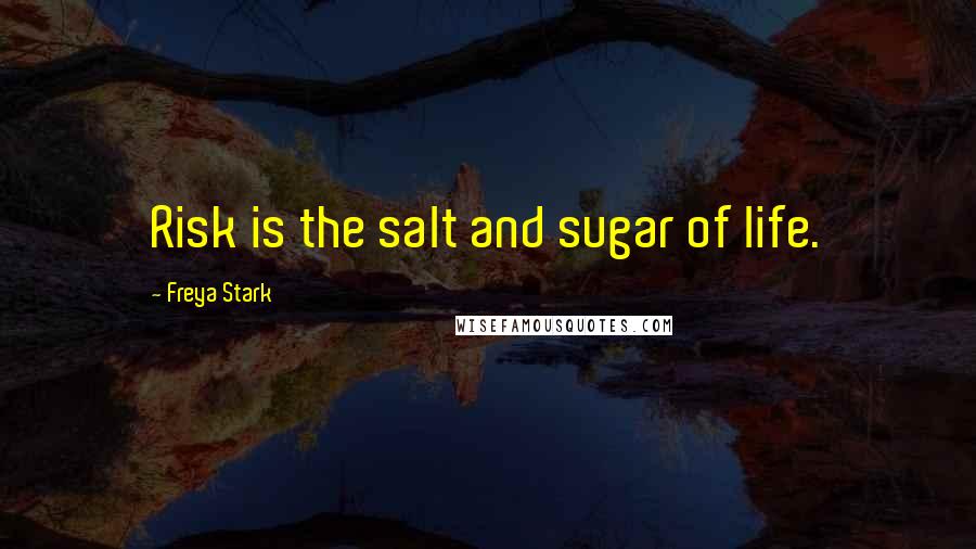 Freya Stark Quotes: Risk is the salt and sugar of life.