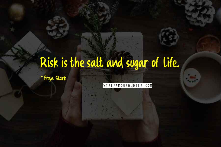 Freya Stark Quotes: Risk is the salt and sugar of life.