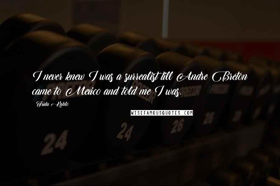 Frida Kahlo Quotes: I never knew I was a surrealist till Andre Breton came to Mexico and told me I was.