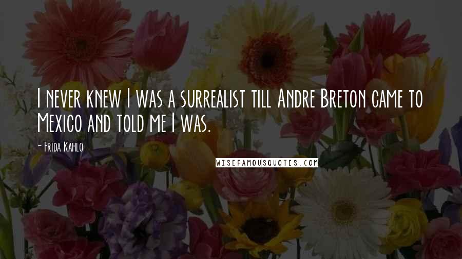 Frida Kahlo Quotes: I never knew I was a surrealist till Andre Breton came to Mexico and told me I was.