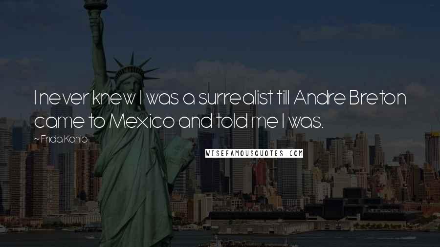 Frida Kahlo Quotes: I never knew I was a surrealist till Andre Breton came to Mexico and told me I was.