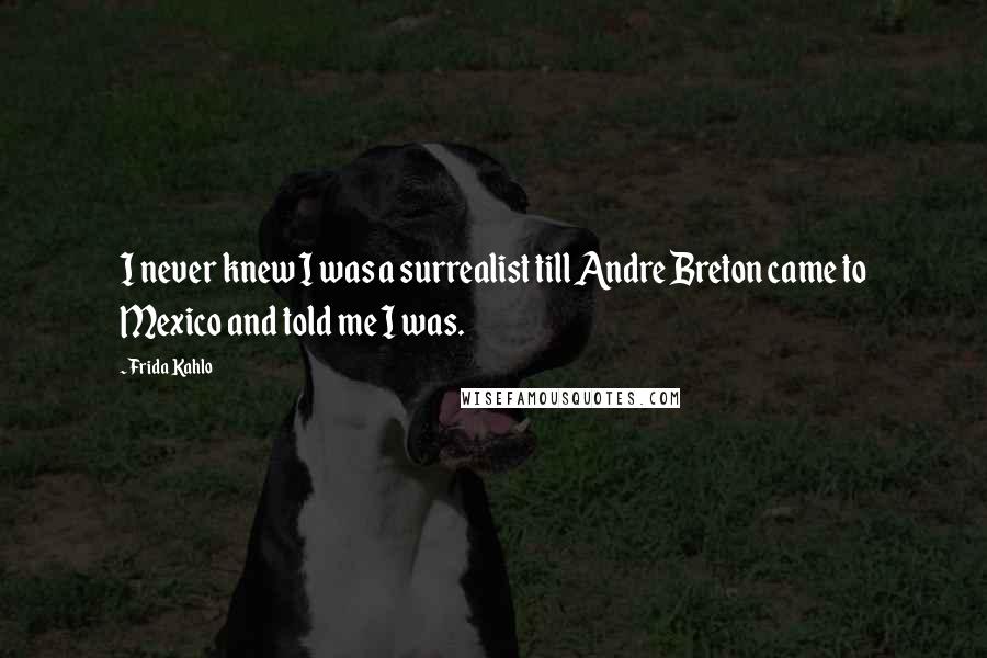 Frida Kahlo Quotes: I never knew I was a surrealist till Andre Breton came to Mexico and told me I was.