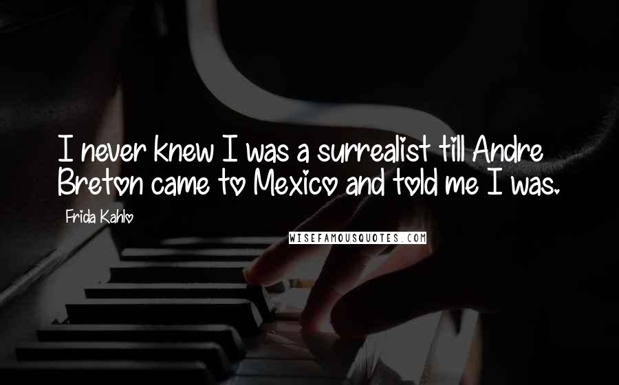 Frida Kahlo Quotes: I never knew I was a surrealist till Andre Breton came to Mexico and told me I was.