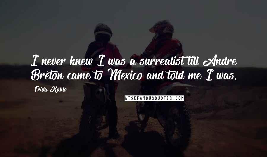 Frida Kahlo Quotes: I never knew I was a surrealist till Andre Breton came to Mexico and told me I was.