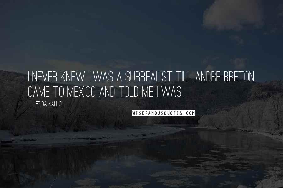 Frida Kahlo Quotes: I never knew I was a surrealist till Andre Breton came to Mexico and told me I was.