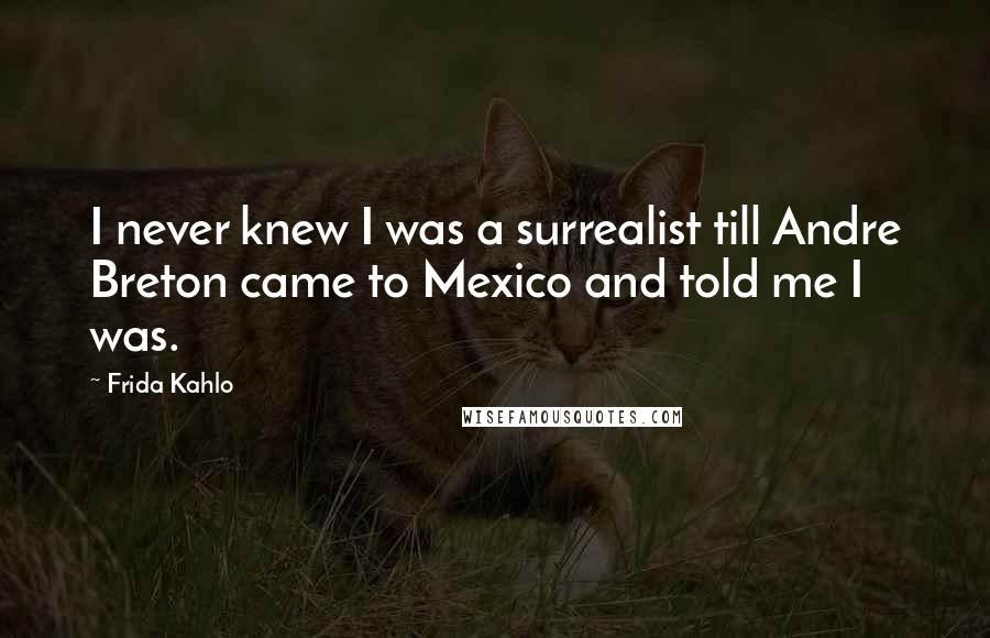 Frida Kahlo Quotes: I never knew I was a surrealist till Andre Breton came to Mexico and told me I was.