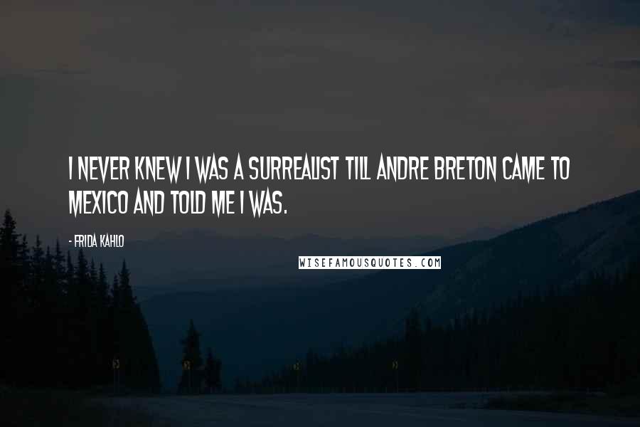 Frida Kahlo Quotes: I never knew I was a surrealist till Andre Breton came to Mexico and told me I was.