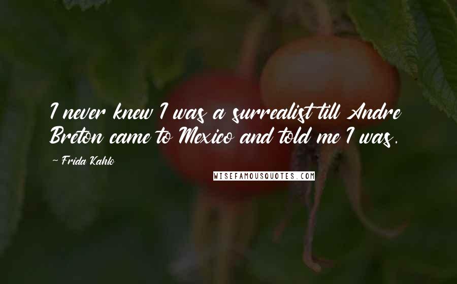 Frida Kahlo Quotes: I never knew I was a surrealist till Andre Breton came to Mexico and told me I was.