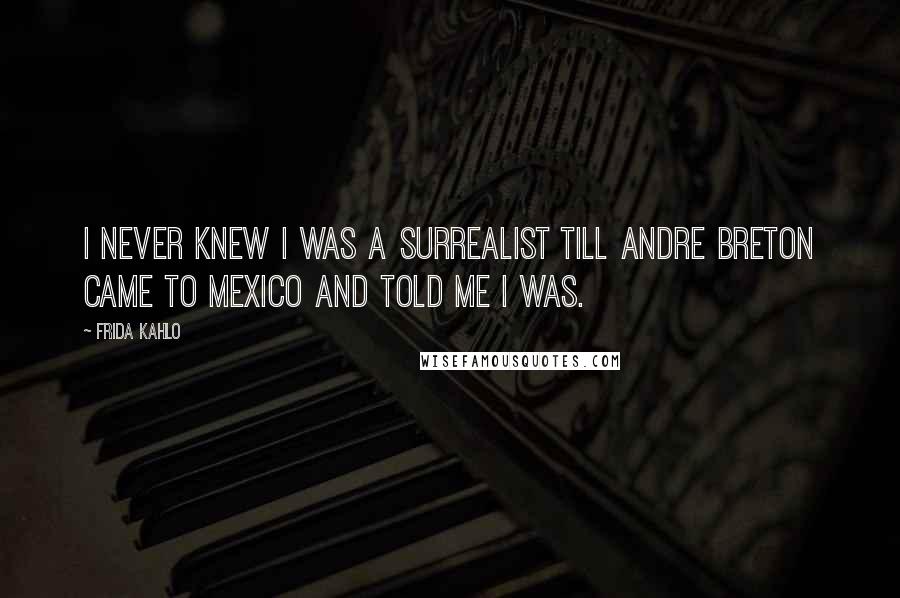 Frida Kahlo Quotes: I never knew I was a surrealist till Andre Breton came to Mexico and told me I was.
