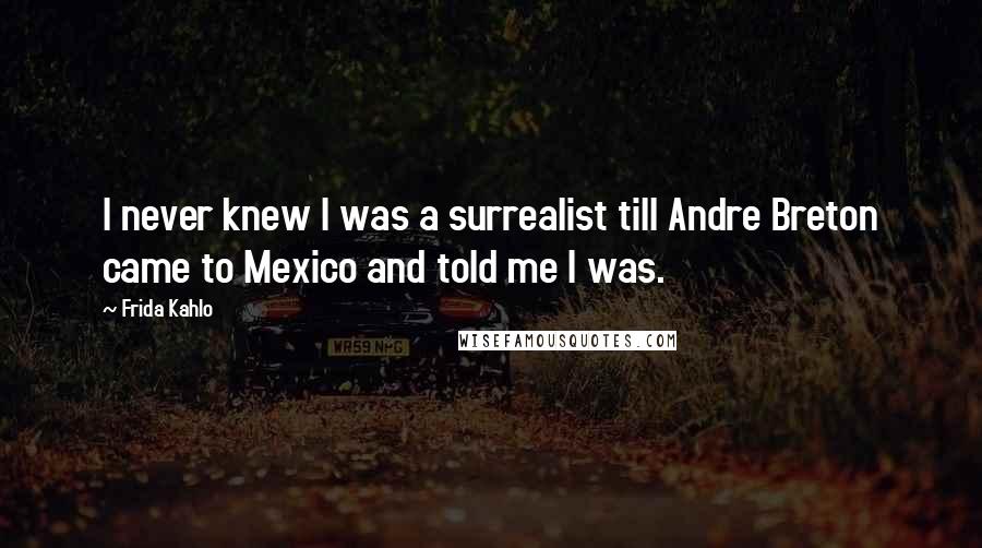 Frida Kahlo Quotes: I never knew I was a surrealist till Andre Breton came to Mexico and told me I was.