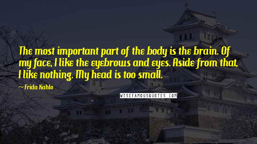 Frida Kahlo Quotes: The most important part of the body is the brain. Of my face, I like the eyebrows and eyes. Aside from that, I like nothing. My head is too small.