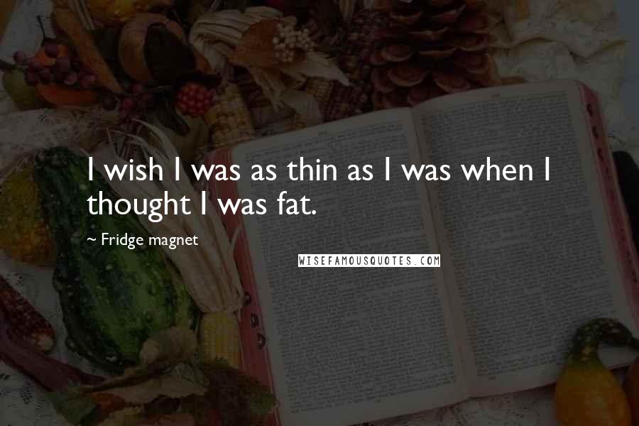 Fridge Magnet Quotes: I wish I was as thin as I was when I thought I was fat.