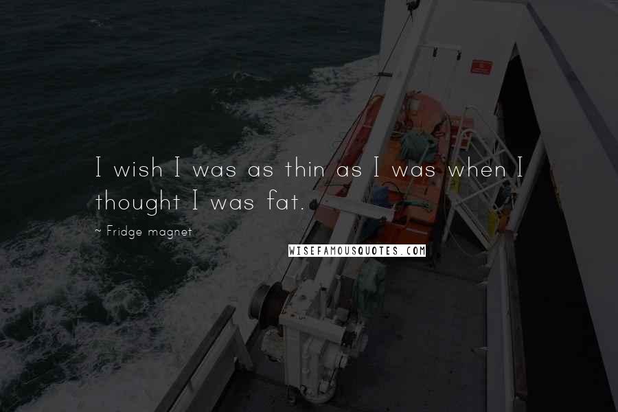 Fridge Magnet Quotes: I wish I was as thin as I was when I thought I was fat.
