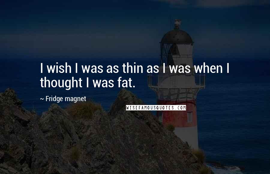 Fridge Magnet Quotes: I wish I was as thin as I was when I thought I was fat.