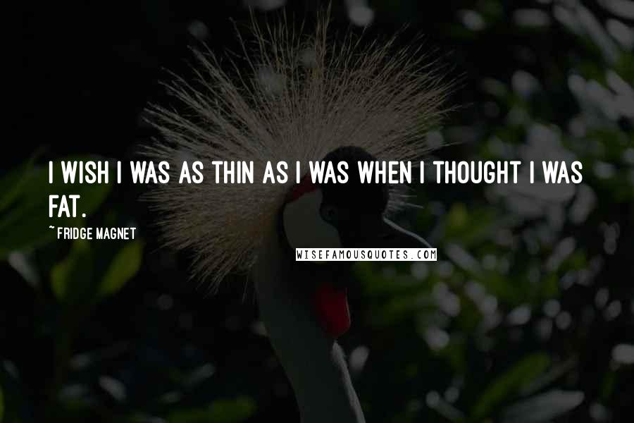 Fridge Magnet Quotes: I wish I was as thin as I was when I thought I was fat.