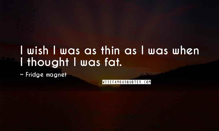 Fridge Magnet Quotes: I wish I was as thin as I was when I thought I was fat.