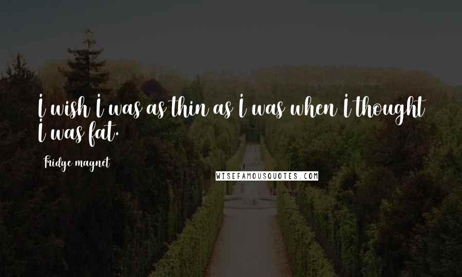 Fridge Magnet Quotes: I wish I was as thin as I was when I thought I was fat.