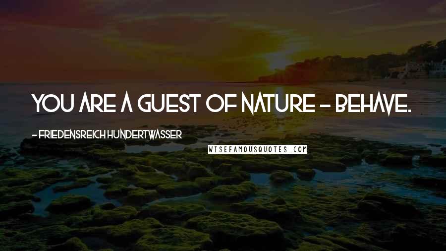 Friedensreich Hundertwasser Quotes: You are a guest of nature - behave.