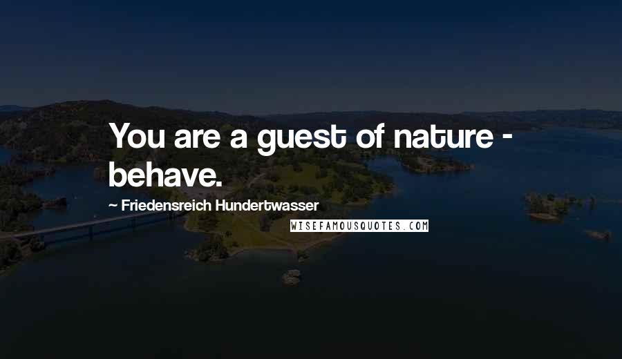 Friedensreich Hundertwasser Quotes: You are a guest of nature - behave.