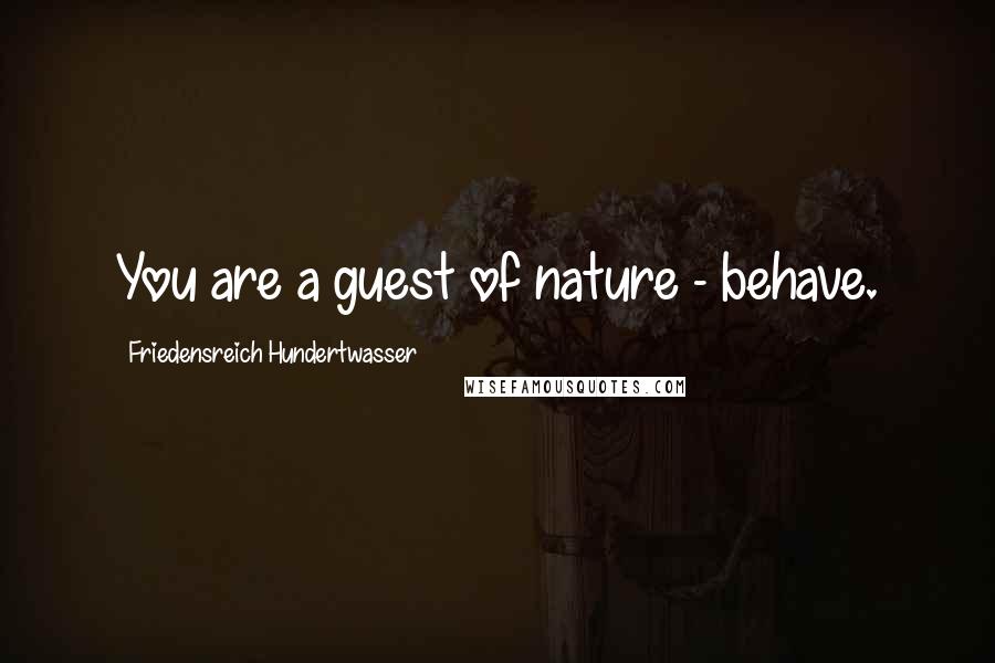 Friedensreich Hundertwasser Quotes: You are a guest of nature - behave.