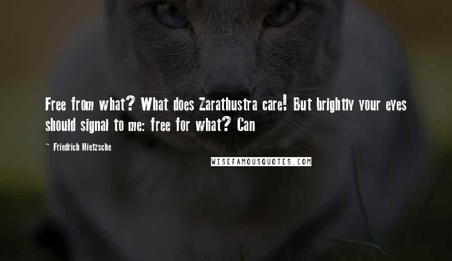 Friedrich Nietzsche Quotes: Free from what? What does Zarathustra care! But brightly your eyes should signal to me: free for what? Can