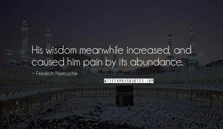 Friedrich Nietzsche Quotes: His wisdom meanwhile increased, and caused him pain by its abundance.