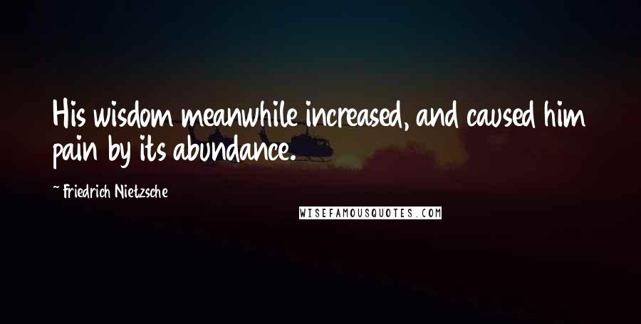 Friedrich Nietzsche Quotes: His wisdom meanwhile increased, and caused him pain by its abundance.