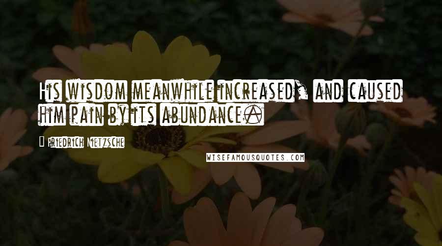 Friedrich Nietzsche Quotes: His wisdom meanwhile increased, and caused him pain by its abundance.