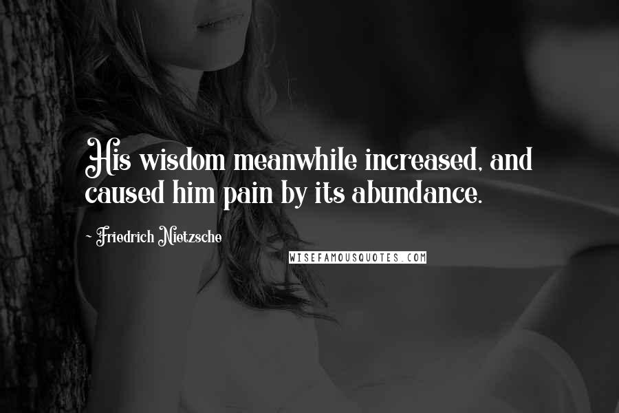 Friedrich Nietzsche Quotes: His wisdom meanwhile increased, and caused him pain by its abundance.