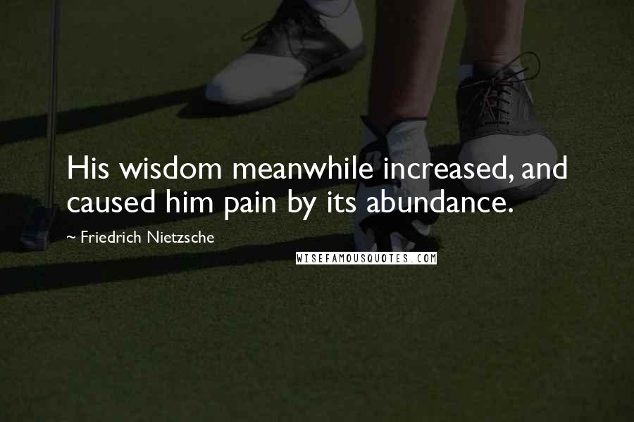 Friedrich Nietzsche Quotes: His wisdom meanwhile increased, and caused him pain by its abundance.