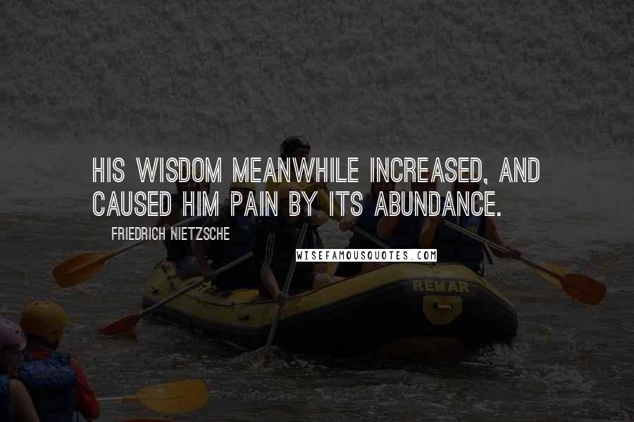 Friedrich Nietzsche Quotes: His wisdom meanwhile increased, and caused him pain by its abundance.
