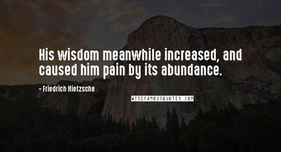 Friedrich Nietzsche Quotes: His wisdom meanwhile increased, and caused him pain by its abundance.