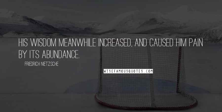 Friedrich Nietzsche Quotes: His wisdom meanwhile increased, and caused him pain by its abundance.