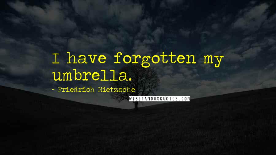 Friedrich Nietzsche Quotes: I have forgotten my umbrella.