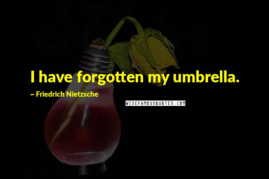 Friedrich Nietzsche Quotes: I have forgotten my umbrella.