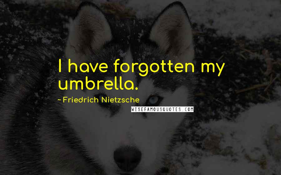 Friedrich Nietzsche Quotes: I have forgotten my umbrella.