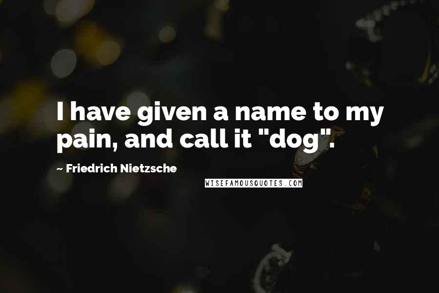 Friedrich Nietzsche Quotes: I have given a name to my pain, and call it "dog".