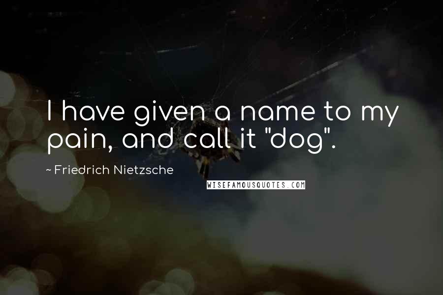 Friedrich Nietzsche Quotes: I have given a name to my pain, and call it "dog".