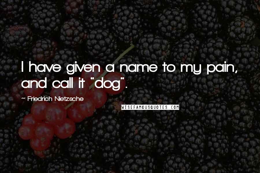 Friedrich Nietzsche Quotes: I have given a name to my pain, and call it "dog".