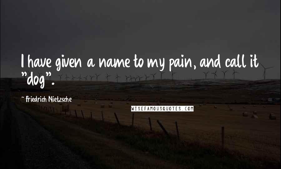 Friedrich Nietzsche Quotes: I have given a name to my pain, and call it "dog".