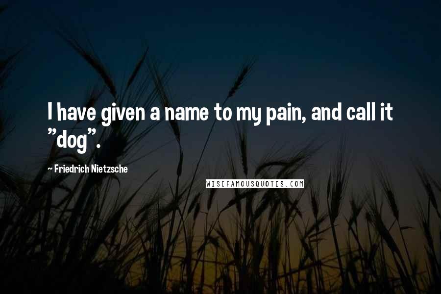 Friedrich Nietzsche Quotes: I have given a name to my pain, and call it "dog".