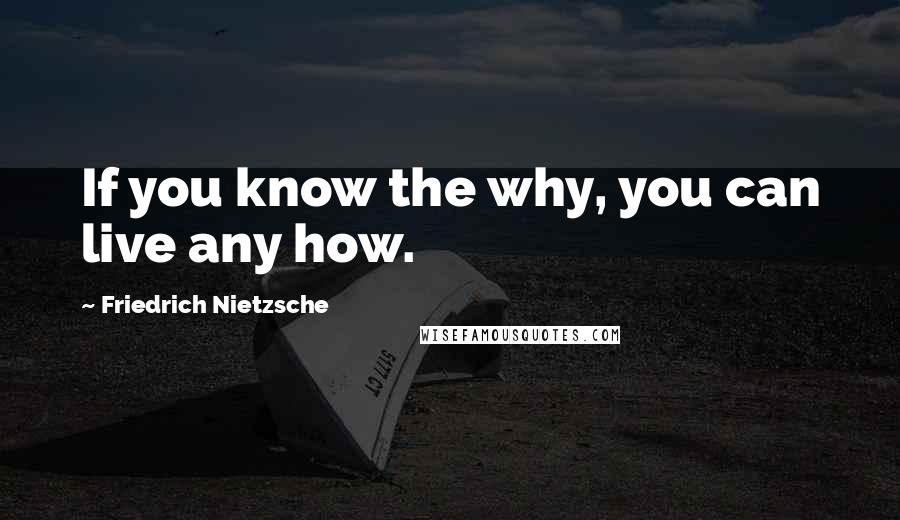 Friedrich Nietzsche Quotes: If you know the why, you can live any how.