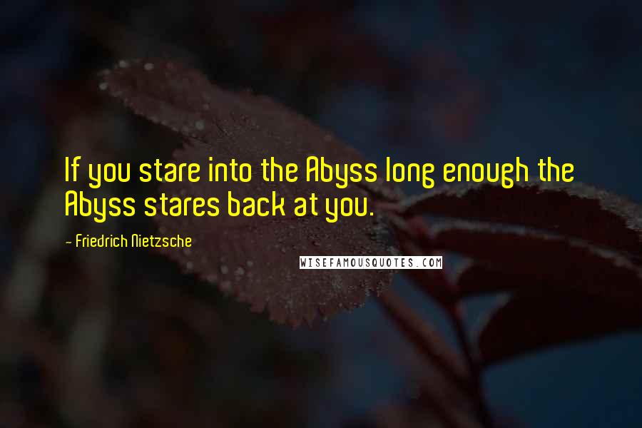 Friedrich Nietzsche Quotes: If you stare into the Abyss long enough the Abyss stares back at you.