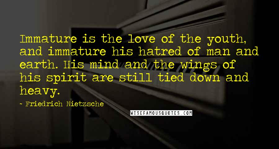 Friedrich Nietzsche Quotes: Immature is the love of the youth, and immature his hatred of man and earth. His mind and the wings of his spirit are still tied down and heavy.