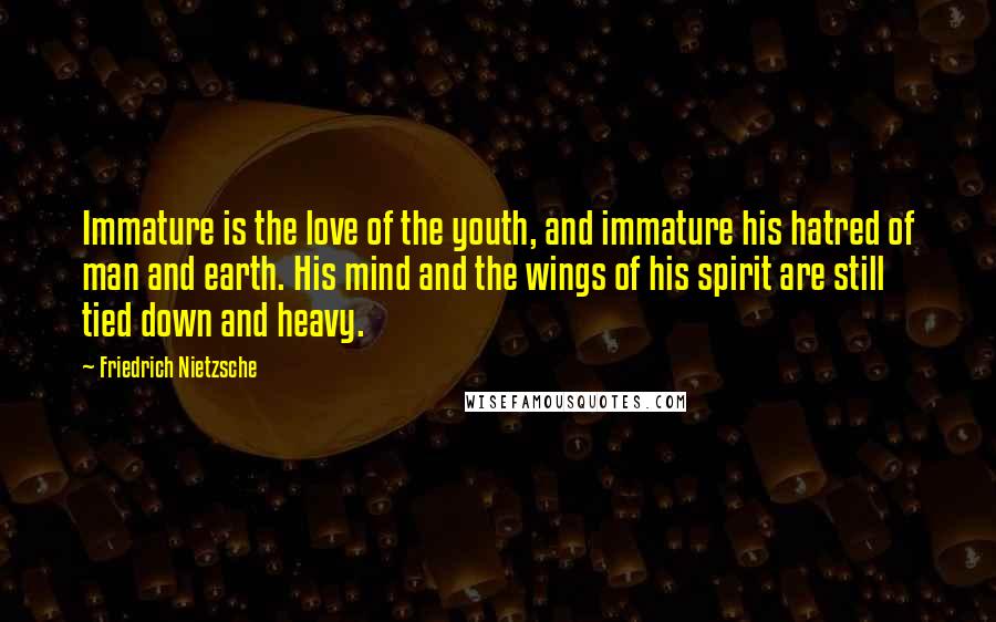 Friedrich Nietzsche Quotes: Immature is the love of the youth, and immature his hatred of man and earth. His mind and the wings of his spirit are still tied down and heavy.