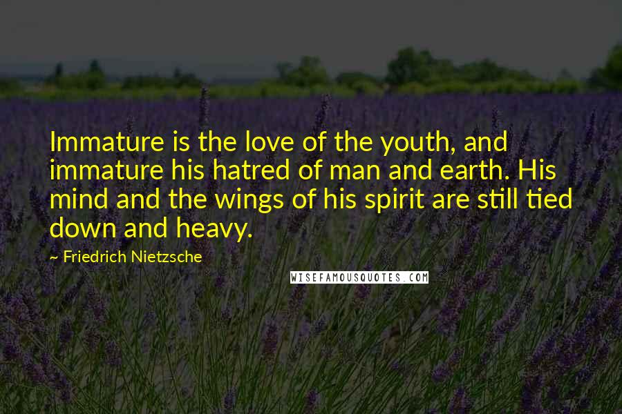 Friedrich Nietzsche Quotes: Immature is the love of the youth, and immature his hatred of man and earth. His mind and the wings of his spirit are still tied down and heavy.