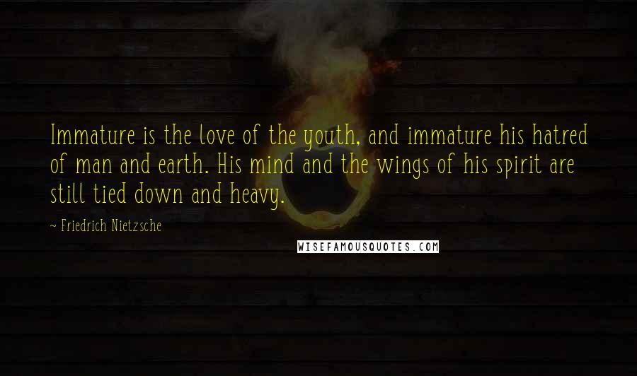 Friedrich Nietzsche Quotes: Immature is the love of the youth, and immature his hatred of man and earth. His mind and the wings of his spirit are still tied down and heavy.