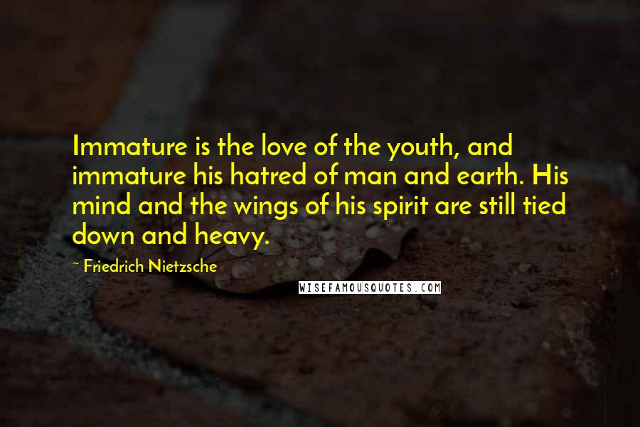 Friedrich Nietzsche Quotes: Immature is the love of the youth, and immature his hatred of man and earth. His mind and the wings of his spirit are still tied down and heavy.