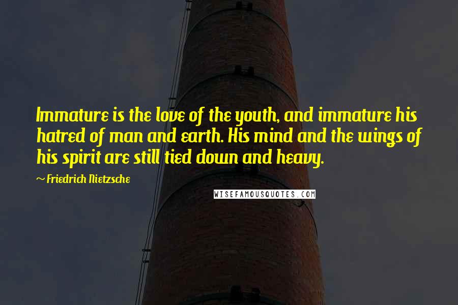 Friedrich Nietzsche Quotes: Immature is the love of the youth, and immature his hatred of man and earth. His mind and the wings of his spirit are still tied down and heavy.