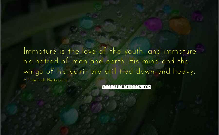 Friedrich Nietzsche Quotes: Immature is the love of the youth, and immature his hatred of man and earth. His mind and the wings of his spirit are still tied down and heavy.